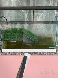 Acquario tartarughe