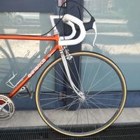 Bicicletta Adriatica tg 52