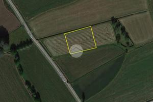 TER. AGRICOLO A MAGENTA