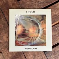 Pooh Hurricane Stampa Giapponese Copertina