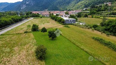TER. AGRICOLO A BASSANO DEL GRAPPA
