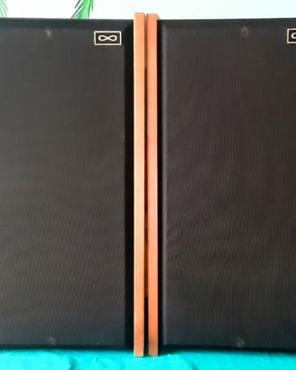 Casse diffusori stereo Infinity