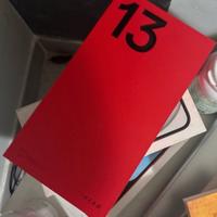One Plus 13