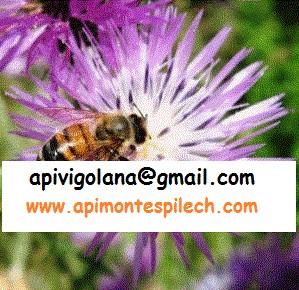 NUCLEI API 2026 - consegna in A22 tra TN e MN