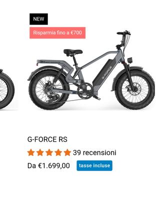E CARGO BIKE RS G FORCE