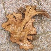 Fette,sezioni in Ulivo(Orologi,tavoli,taglieri,ecc