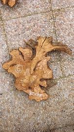 Fette,sezioni in Ulivo(Orologi,tavoli,taglieri,ecc