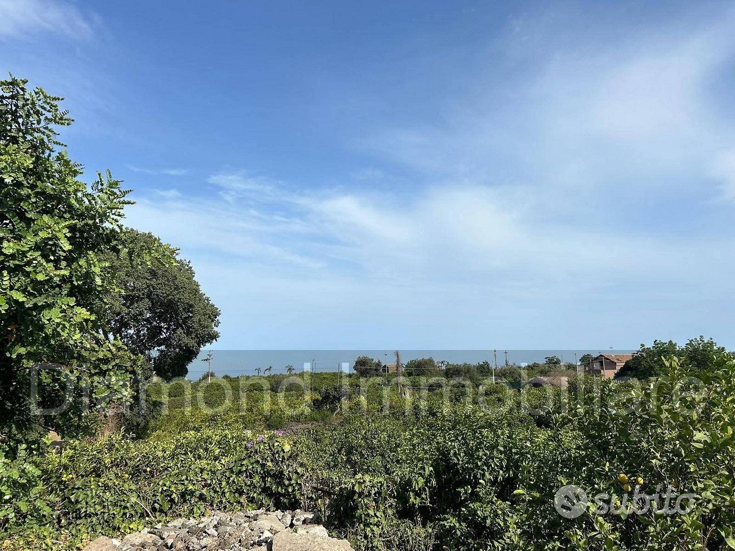 Limoneto con rustico a Pozzillo - Acireale - Vista 4