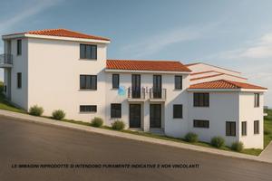 Un' Unica nel Cuore Antico della Gallura