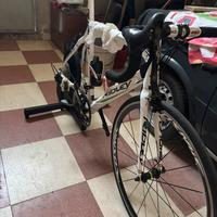 Bici Ridley in carbonio