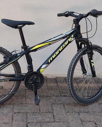 bicicletta MTB