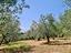 Immagine 23