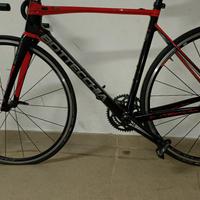 BOTTECCHIA 8AVIO REVOLUTION 