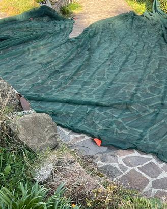 Reti olive 10X10 e 8X8 metri