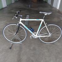 bicicletta carrera campagnolo