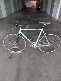 bicicletta carrera campagnolo