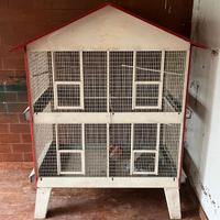 Voliera per uccelli domestici