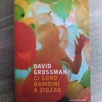 Ci sono bambini a zigzag - David Grossman