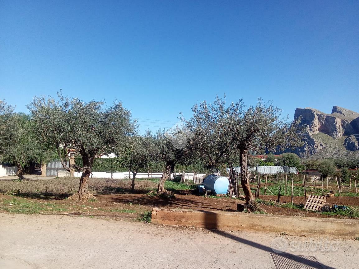 TERRENO A PALERMO - Vista 2
