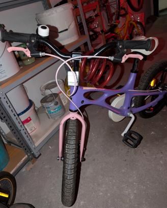 Bicicletta per bambino/a