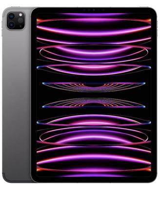 iPad Pro 11" 4 generazione Wi-Fi + Cellular