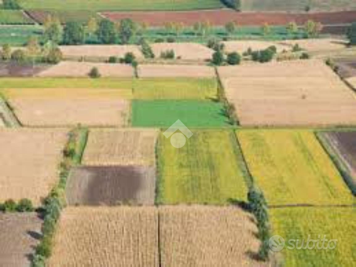 TER. AGRICOLO A GRUMELLO DEL MONTE - Vista 4