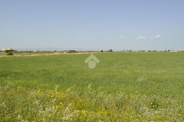 TER. AGRICOLO A FOGGIA