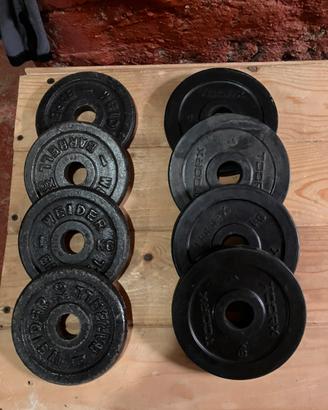 Dischi da 1 e 2 kg