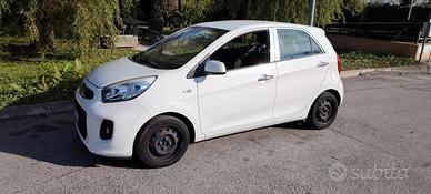 Kia Picanto 1.0 12V EcoGPL 5 porte Glam