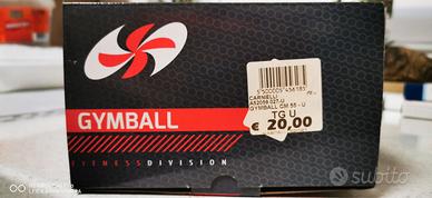 Gymball + fascia elastica