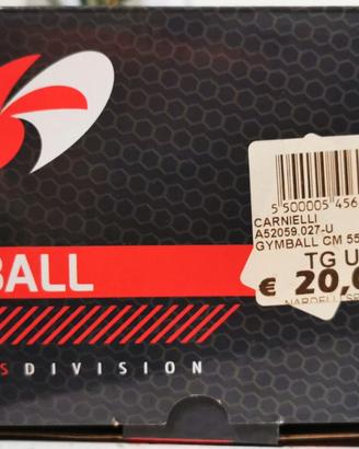 Gymball + fascia elastica