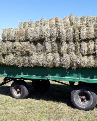 Fieno Prato stabile 2025