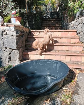 Cuccia x cani in plastica 