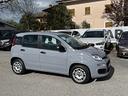 fiat-panda-1-2-benzina-gpl-adatta-neopatentati