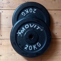 Coppia Dischi 20 KG Ghisa