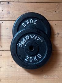 Coppia Dischi 20 KG Ghisa