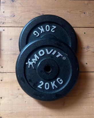 Coppia Dischi 20 KG Ghisa