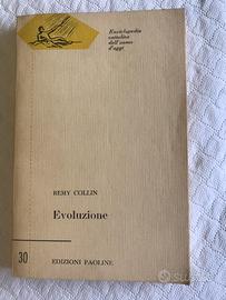 Evoluzione Remy Collin