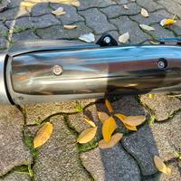 T Max marmitta e parabrezza