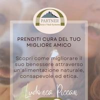 Ami gli animali e vuoi cambiare lavoro (e vita)?