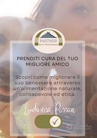 Ami gli animali e vuoi cambiare lavoro (e vita)?