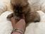Immagine 4