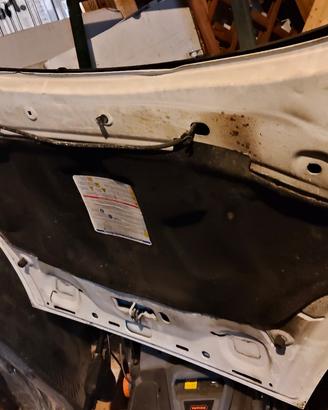 cofano motore bianco fiat punto evo 