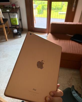 IPad rosa (sesta generazione)