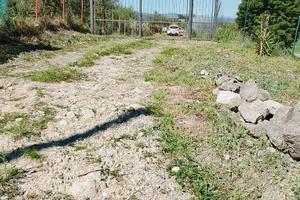 Terreni e rustici