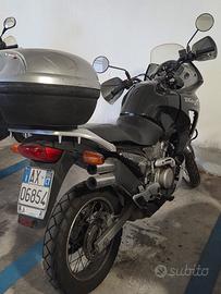 Honda Transalp V650 2000
