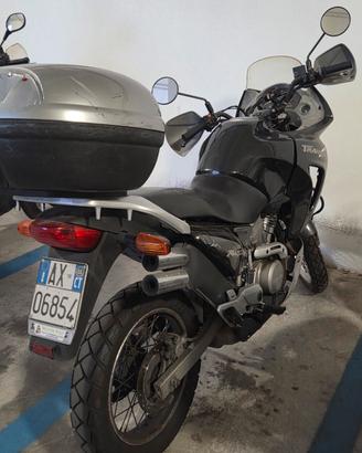 Honda Transalp V650 2000