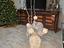 Immagine 1