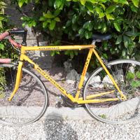 Bici da corsa Bottecchia 989