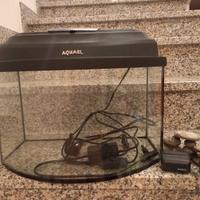 Acquario 20L